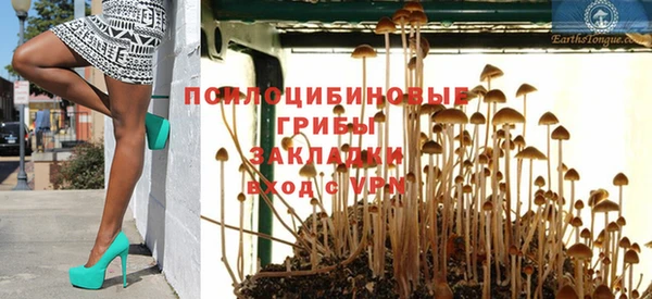 PSILOCYBIN Гусь-Хрустальный