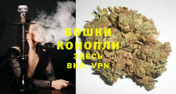 PSILOCYBIN Гусь-Хрустальный