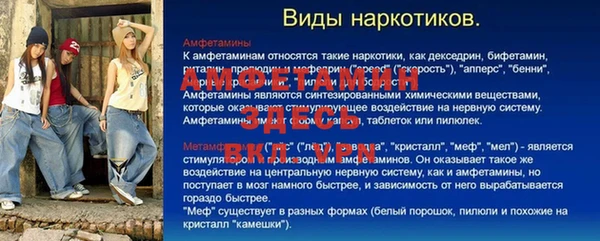 PSILOCYBIN Гусь-Хрустальный