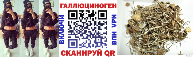 Галлюциногенные грибы прущие грибы  Зима 